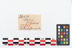 Etikett zu Perlenkette (NHMW-PRAE-026258)